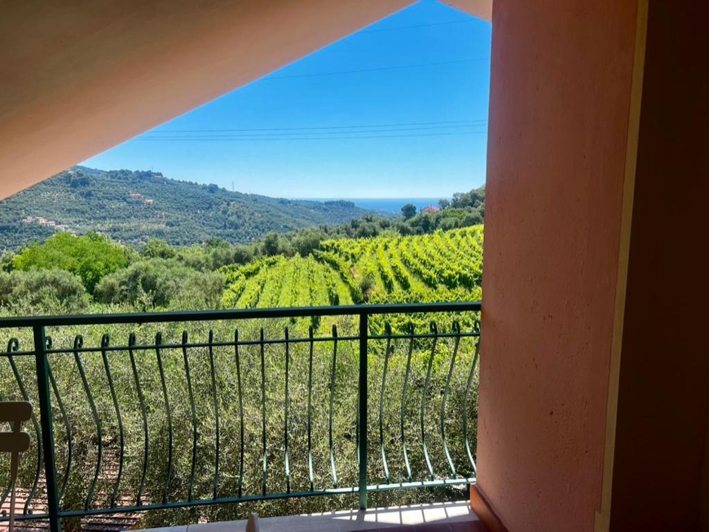 Agriturismo Ada Musso Diano Borello Esterno foto