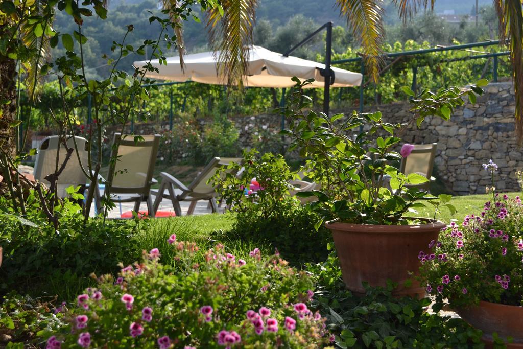 Agriturismo Ada Musso Diano Borello Esterno foto