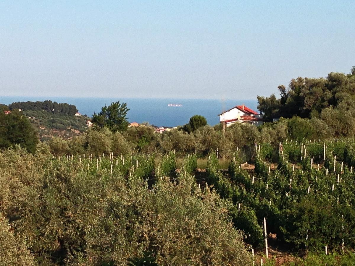 Agriturismo Ada Musso Diano Borello Camera foto