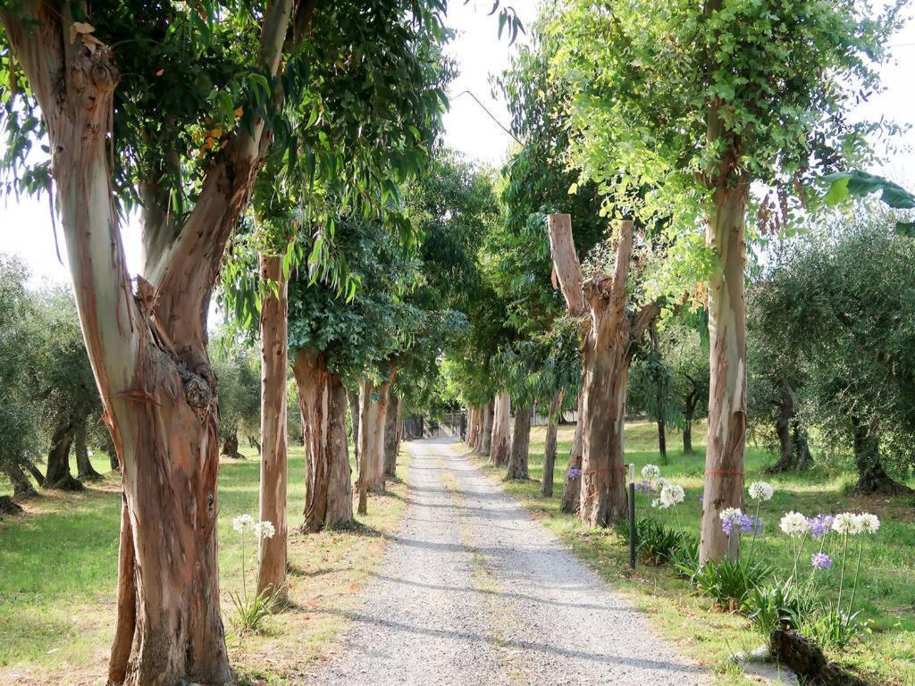Agriturismo Ada Musso Diano Borello Esterno foto